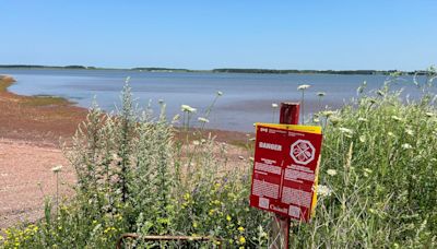 Worries mount after parasite discovered in Bedeque Bay, says shellfish association president