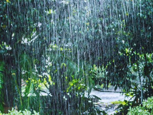 Kerala weather update: IMD issues ‘red’ alert in Wayanad; orange and yellow alerts in other districts