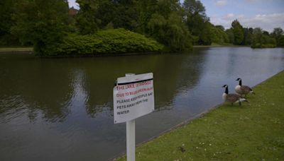 Update as Wiltshire lake remains closed after toxic algae found