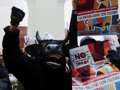 哥倫比亞「禁止鬥牛」法案過關 全球只剩7國合法 - 趨勢