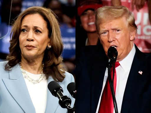 Harris, Trump Duel Over the Airwaves with $247 Million Ad War