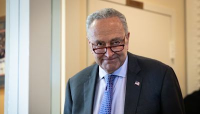 Schumer: Trump Probably Regrets Picking ‘Weird’ J.D. Vance