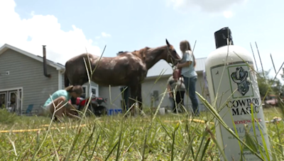 Horry County girls fundraise for horse championship qualifiers with horse spa day