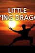 Little Flying Dragon