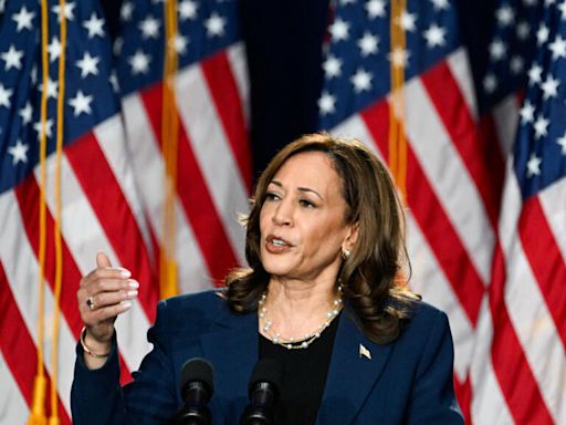 'Choice between freedom and chaos': Harris blasts Trump in debut campaign rally