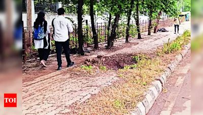 Deteriorated Footpaths in H-D Pose Risk to Pedestrians During Rain | - Times of India