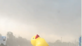 VIDEO: Flying inflatable duck narrowly misses driver