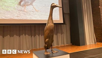 Long Boi: Statue of missing York duck unveiled live on BBC Radio 1