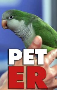 Pet ER