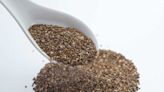 Quels sont les bienfaits des graines de chia et comment les consommer ?
