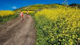 SLO County family wants to move a popular ocean-view trail — here’s why a court said no