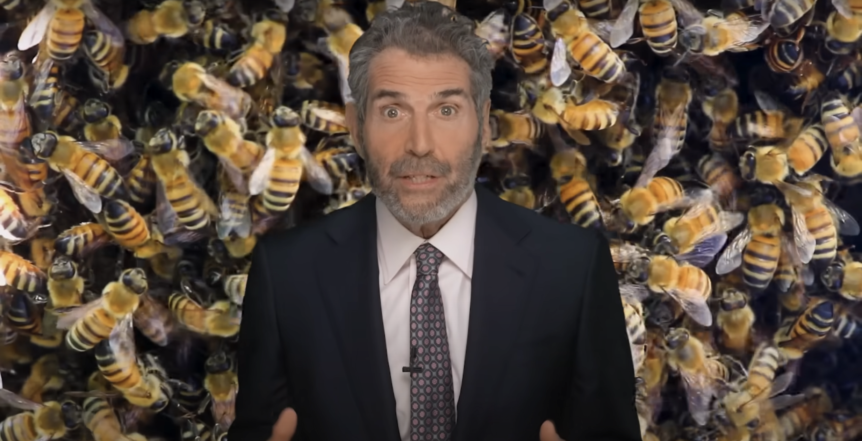 How the Media Manufactured Panic Over Bees