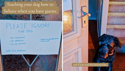 Woman puts sign on door to warn guests about "rabid muscle" guard dog