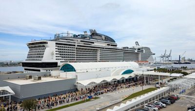 MSC cruise ship sails into NYC with 44-foot dead endangered whale across its bow