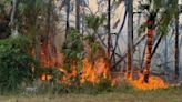 Large brush fire in Sarasota County forces evacuations, now at 85% containment