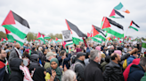 Pro-Palestinian protests: Man arrested for carrying swastika placard and another held for racist remarks at London march