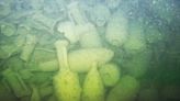 An 'exceptional' Roman shipwreck was discovered with hundreds of intact 2,000-year-old jars off the coast of Italy