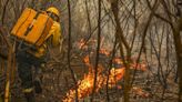 MP reduz prazo de vedação para recontratação de pessoal para prevenção e combate a incêndios florestais