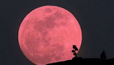 Luna Rosa de abril 2024: a qué hora será su punto máximo en la Argentina hoy