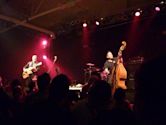 Reverend Horton Heat