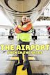 The Airport: Back in the Skies