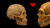 Humans And Neanderthals Had a Longer, More Intertwined Relationship Than We Thought