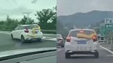 驚 ! 高速公路上出現「巨蟒」纏繞轎車 網笑：放著寵物這樣兜風也太危險