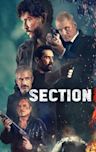 Section Eight (film)