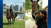 ‘Thank you for a job well done’: Allegheny County police mourning death of retired horse