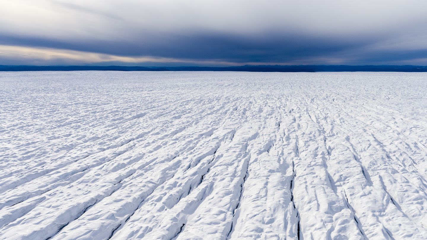 There Are Giant Viruses on Ice Sheet’s Surface in the Arctic—But That’s a Good Thing