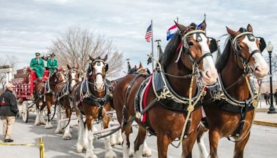 Things to do: Watch Kung Fu Panda at the high school or meet the Clydesdales