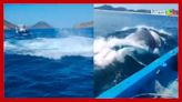Baleia se ‘enrosca’ em cabo de âncora e assusta pescadores no Rio de Janeiro