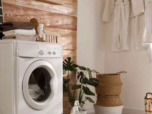 How to clean your washing machine: Experts reveal their top tips