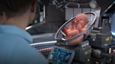 Una firma prevé lanzar el primer útero artificial que podría hacer nacer a 30,000 bebés por año