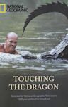 Touching the Dragon