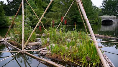 It's art. It's a wetland. And scientists hope it will save the state's lakes from blue-green algae.