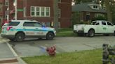 4-year-old boy fatally struck by pickup truck in Chicago