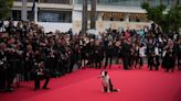 At Cannes, the dogs steal the show