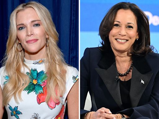 Megyn Kelly says Kamala Harris "slept her way" into politics