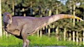 ﻿中大與《國家地理》團隊 南美發現新恐龍物種