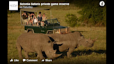 Beloved rhino pair named Bonnie and Clyde butchered by poachers in South Africa park