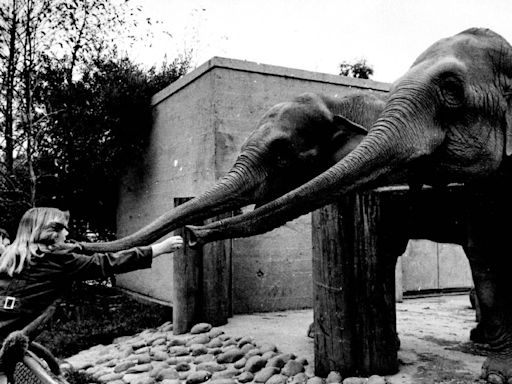 Sacramento opened its Land Park zoo during a truly roaring ’20s. What came next was wild