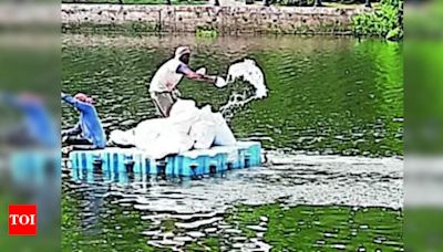 Manual Dredging Plan to Clean Lake in Kolkata | Kolkata News - Times of India