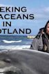 Seeking Cetaceans in Scotland