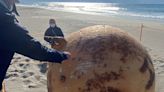 Mysterious Metal Sphere Washes Up On Japanese Beach, Sparking Investigation
