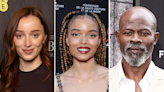 Tommy Wirkola Shark Thriller ‘Beneath the Storm’ Starring Phoebe Dynevor Lands August 2025 Release