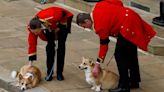 Queen’s coffin passes by her beloved corgis as monarch is laid to rest