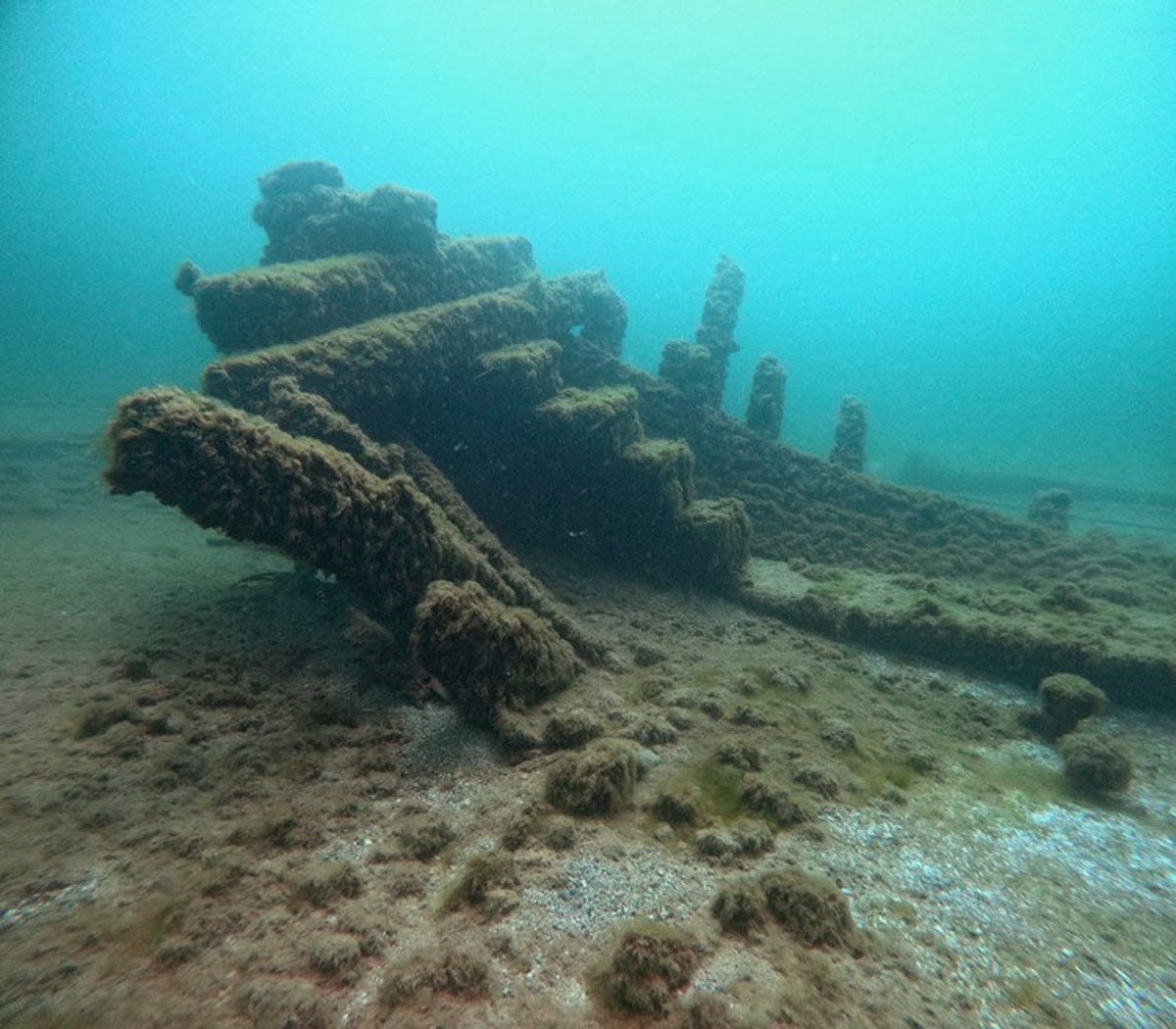 Shipwreck recovered at bottom of Lake Michigan 130 years after it sank with ‘faithful dog’ on board