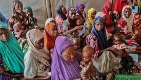 Child malnutrition crisis in Northern Nigeria - News Today | First with the news