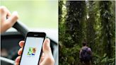Nightmare! How Google Maps Left Odisha Students Stranded In Jungle For 11 Hrs Due To Wrong Directions